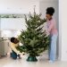What Artificial Christmas Tree Will Last the Longest