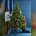What is Best Artificial Christmas Tree