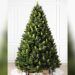 What is the Most Popular Artificial Christmas Tree