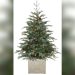 What Kind of Artificial Christmas Tree Shows Ornaments
