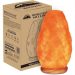 What the Fuck is a Himalayan Salt Lamp