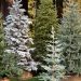 What'S the Difference between Artificial Christmas Trees