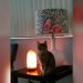 Why Do Cats Like Himalayan Salt Lamps