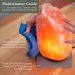 Why Do Himalayan Salt Lamps Get Wet