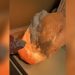 Why Does My Himalayan Salt Lamp Shed Salt
