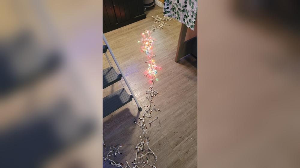 Why Does Only Half My String of Christmas Lights Work