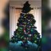 Why Don'T the Christmas Tree Light Work on Artificial Tree