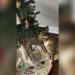 Why is My Cat Eating My Artificial Christmas Tree