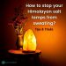 Why is My Himalayan Salt Lamp Sweating