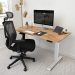 Work Desk for Home Office